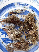 arnebia root