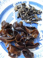 black fungus