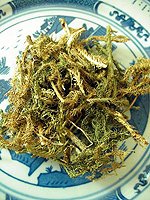 Common clubmoss herb