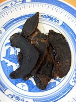 figwort root