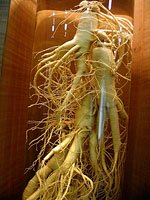 ginseng