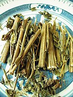 Diverse wormwood herb