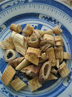 reed rhizome