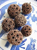 Sweetgum fruit