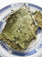 mulberry leaf