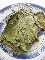 Mulberry leaf