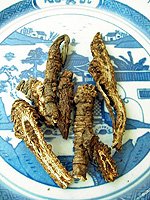 Notopterygium Root