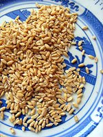 shriveled wheat