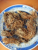 root of glutinous rice straw