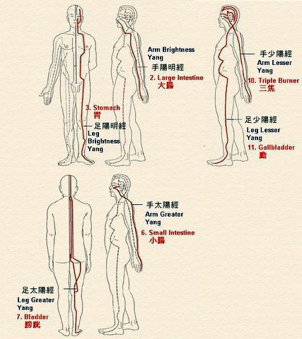 Six Yang Meridians