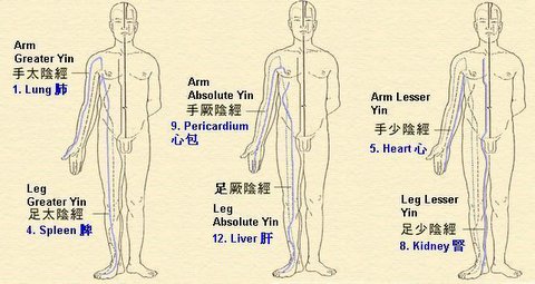 Six Yin Meridians