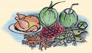 Examples of warming foods to be eaten in the first trimester: chicken, cherry, coconut, ginger and shrimp.