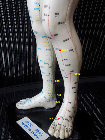 3. Commonly Used acupoints for hypertension 