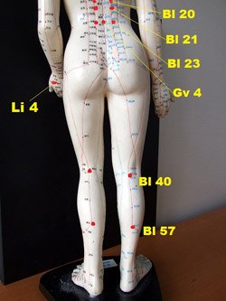Moxibustion acu-points for health promotion.