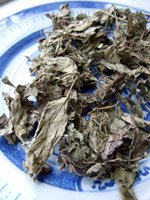 Argy wormwood leaf
