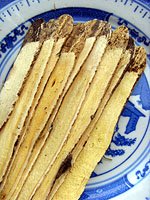 Astragalus root 