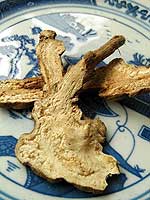 Largehead atractylodes root (bai shu) 