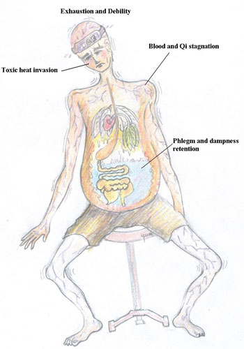 Genreral pathological characteristics of cancer patients 
