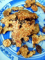Notopterygium root 