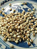 Coix seed 