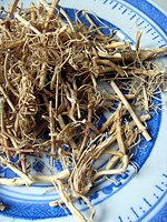 cynanchum rhizome 
