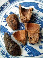 Betel nut shell 