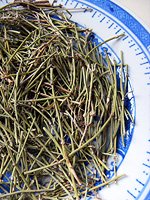 Ephedra 