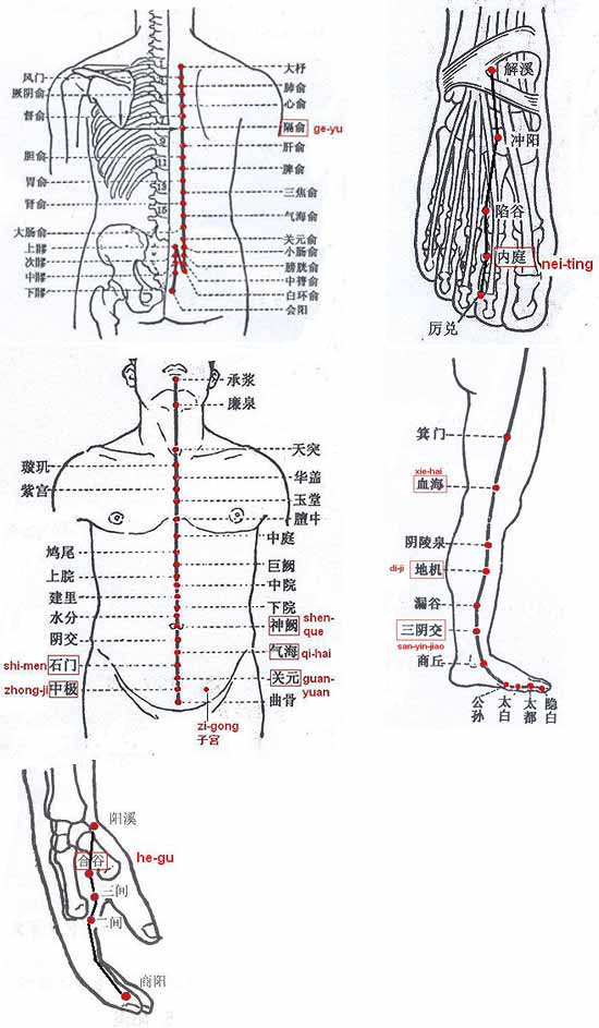 Commonly selected acupoints for female infertility. 