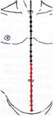 The Conception Vessel 