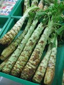 Celtuce