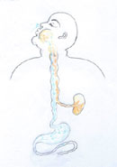 female_27