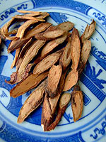 Tuber fleeceflower stem 
