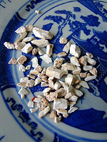 Fossil bone 