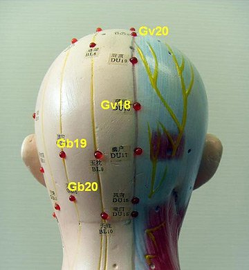 headache_acupoints2