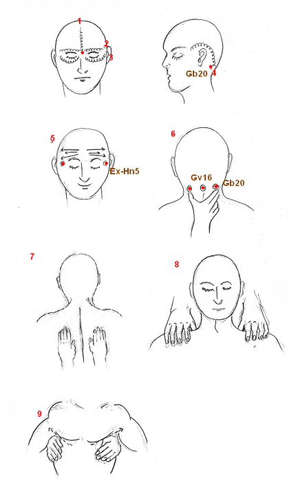 Acupressure protocol for headaches (II) 