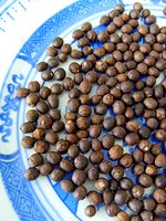 Vitex fruits 