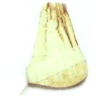 Chinese angelica helps promote blood flow.