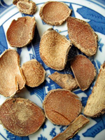 Common Burreed tuber 
