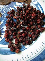 Schisandra