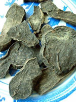 Fleece flower root 