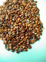 Sour jujube seed 