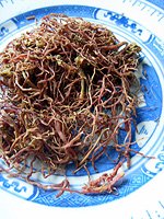 Tatarian aster root 