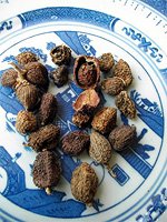 villous amomum fruit