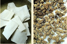 Kudzuvine root and mulberry fruit