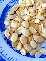 Peach kernel