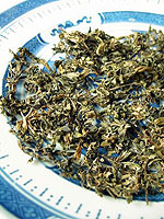 Tokyo violet herb