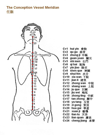 任脈主一身之陰經