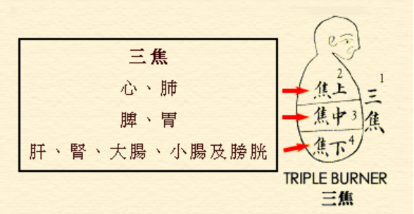 吳瑭 -《溫病條辨》