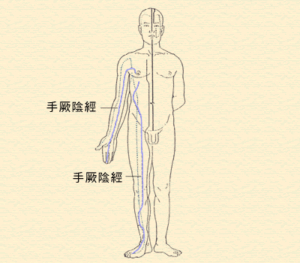 6. 厥陰經(心包經、肝經)