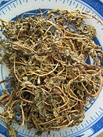 Motherwort herb